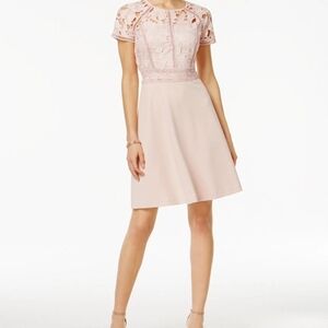 Ivanka Trump Illusion Lace A Line Blush Dress